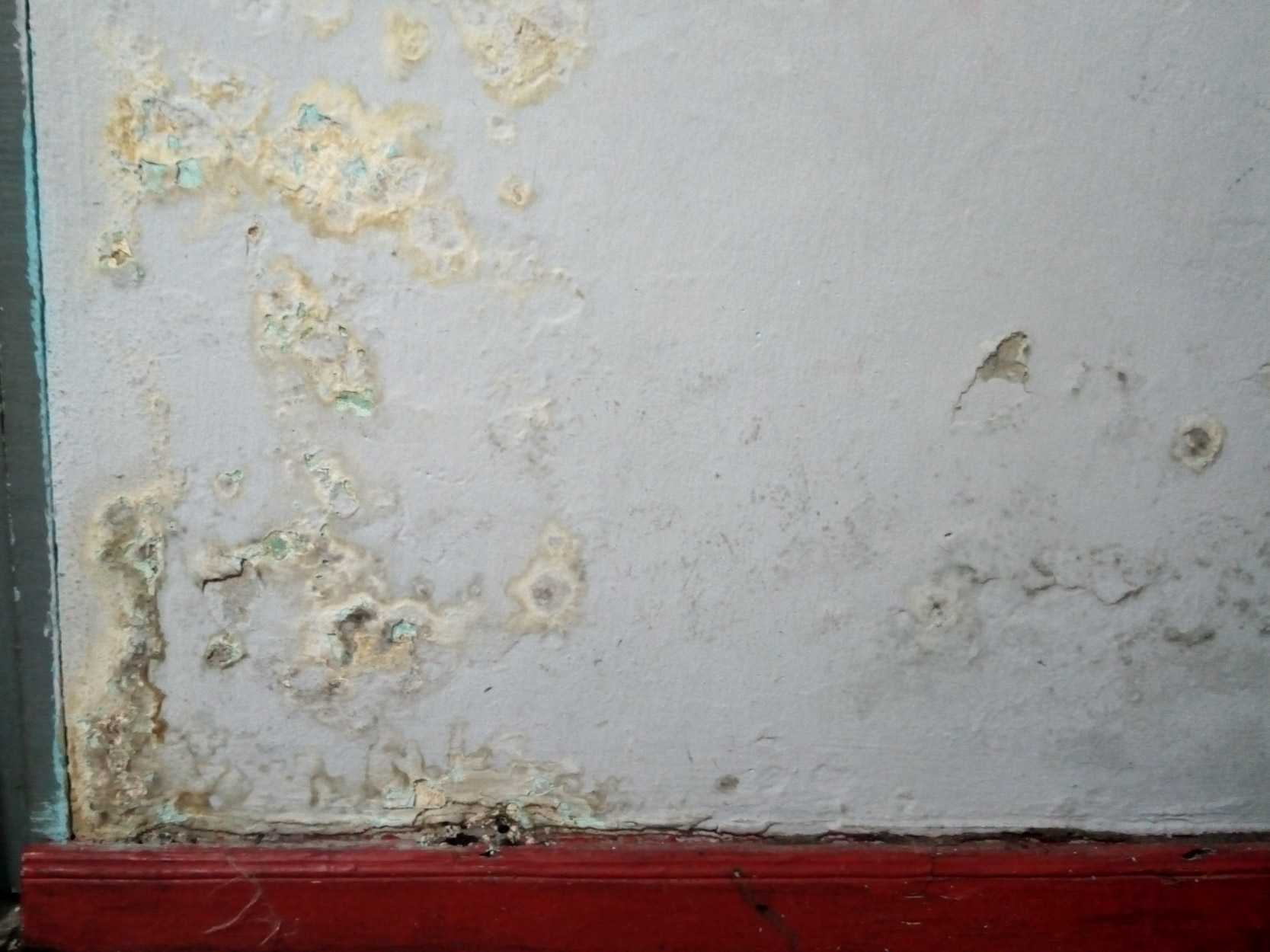wet wall
